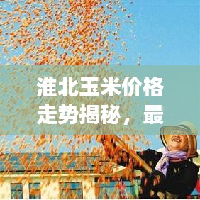 百鸟齐鸣 第2页