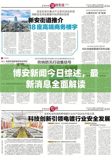 博安新闻今日综述,最新消息全面解读