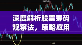 深度解析股票筹码观察法,策略应用与实战指南