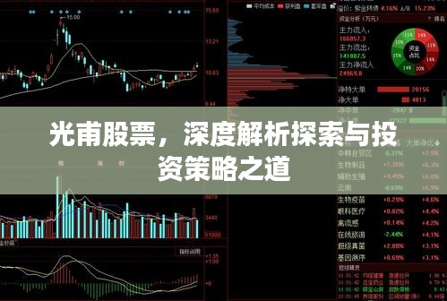 光甫股票，深度解析探索与投资策略之道
