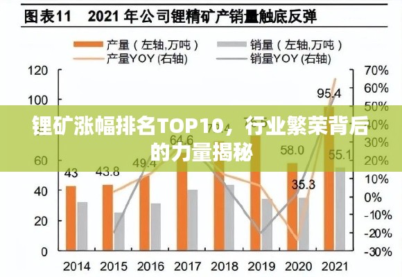 锂矿涨幅排名TOP10,行业繁荣背后的力量揭秘
