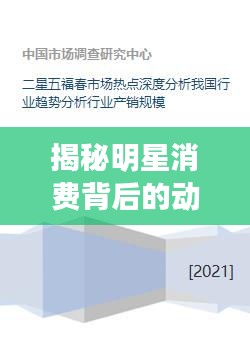 揭秘明星消费背后的动因、影响与深度思考,窥探监控背后的真相