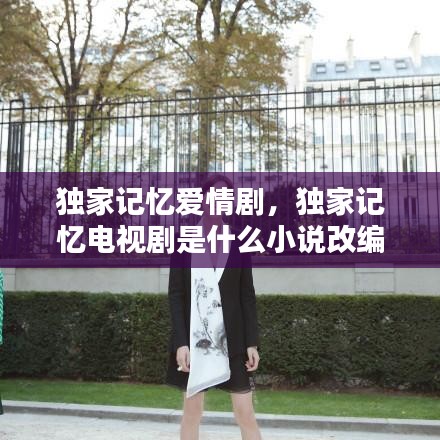 独家记忆爱情剧，独家记忆电视剧是什么小说改编的 