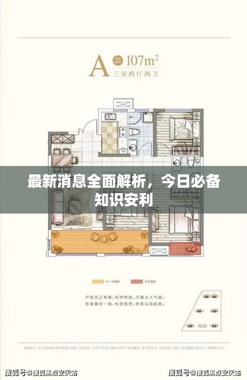 最新消息全面解析,今日必备知识安利