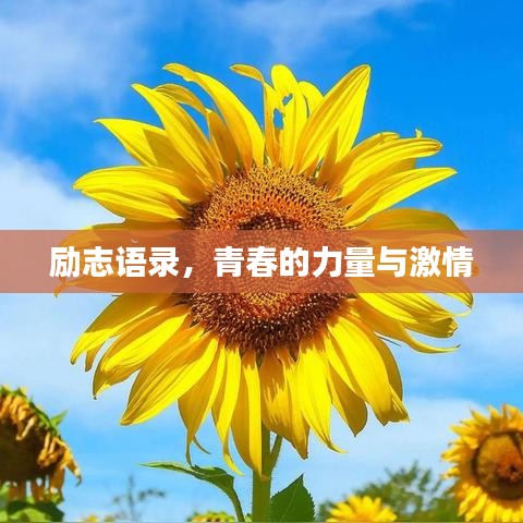 励志语录，青春的力量与激情