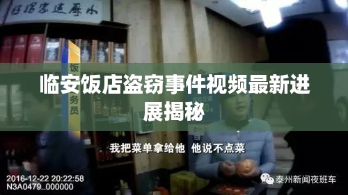 临安饭店盗窃事件视频最新进展揭秘