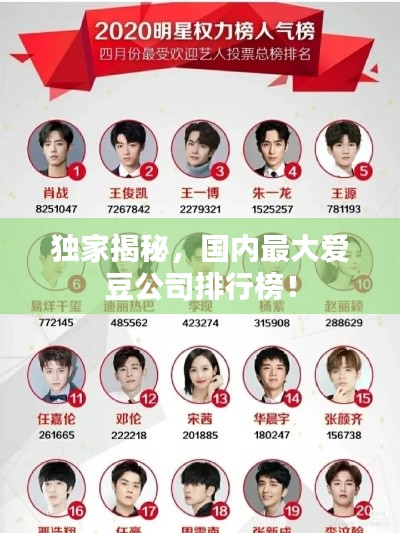 独家揭秘,国内最大爱豆公司排行榜!