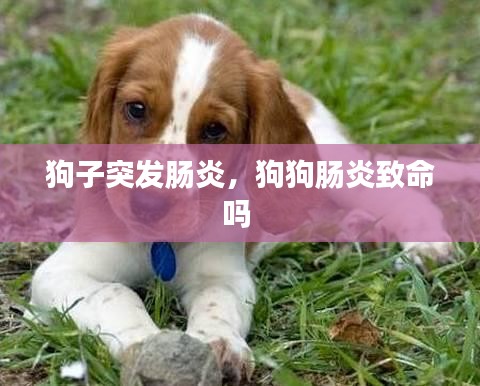 狐假虎威 第2页