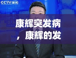 康辉突发病，康辉的发言 