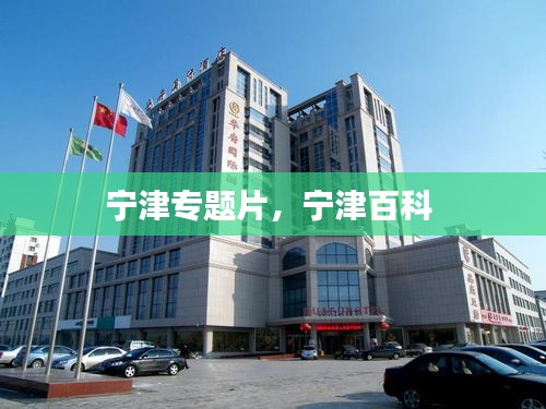 宁津专题片,宁津百科