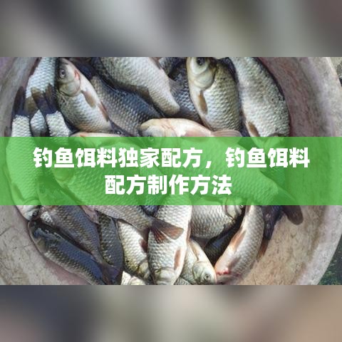 钓鱼饵料独家配方,钓鱼饵料配方制作方法
