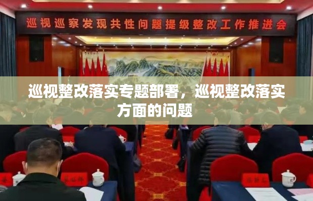 巡视整改落实专题部署,巡视整改落实方面的问题