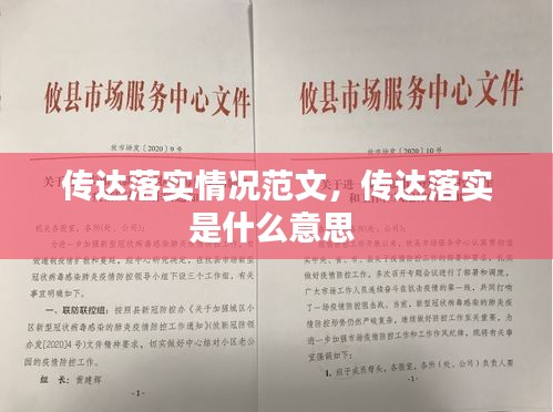 传达落实情况范文,传达落实是什么意思