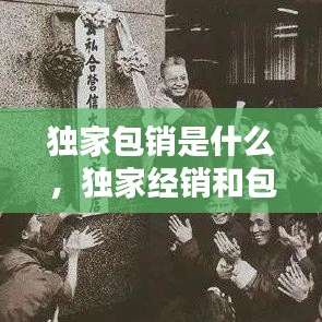 独家包销是什么,独家经销和包销