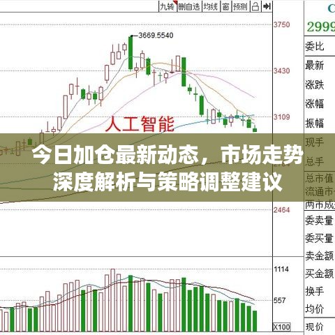 今日加仓最新动态，市场走势深度解析与策略调整建议