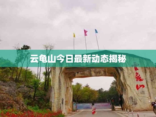 云龟山今日最新动态揭秘